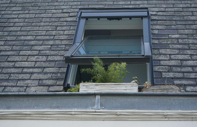 Roof Inspection